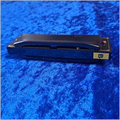 Hohner_ProHarp_B_03_Euro_20.jpg